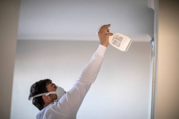 Best Mold Remediation for Specific Building Types in Tucson Estates, AZ
